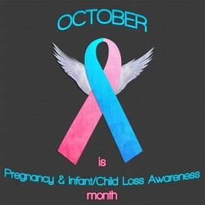 Meet your Posher, Tabby